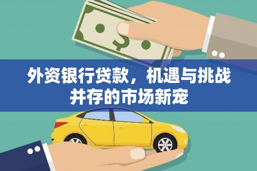 顺平外资银行贷款，机遇与挑战并存的市场新宠