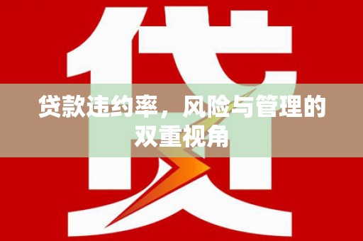 贡寮贷款违约率，风险与管理的双重视角