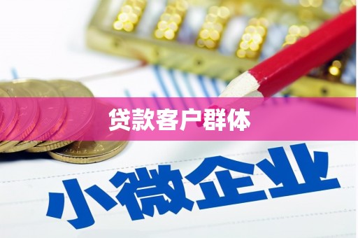 龙崎贷款客户群体
