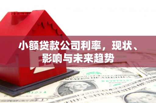 崇明小额贷款公司利率，现状、影响与未来趋势