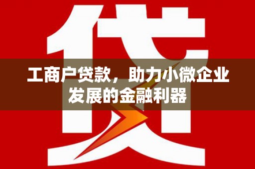 大堂工商户贷款，助力小微企业发展的金融利器
