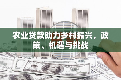 从化农业贷款助力乡村振兴，政策、机遇与挑战