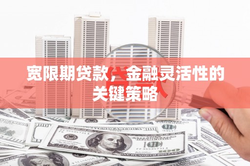 文圣宽限期贷款，金融灵活性的关键策略