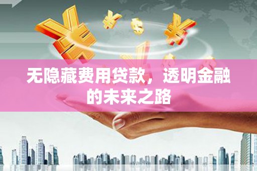 贞丰无隐藏费用贷款，透明金融的未来之路