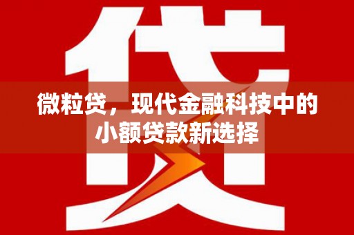 安陆微粒贷，现代金融科技中的小额贷款新选择