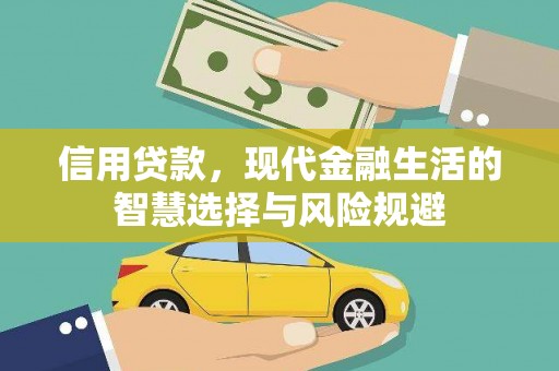 玛家信用贷款，现代金融生活的智慧选择与风险规避