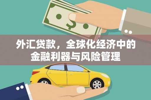 旺苍外汇贷款，全球化经济中的金融利器与风险管理