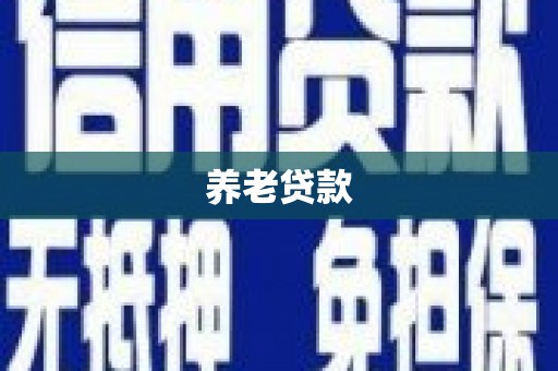 岳麓养老贷款