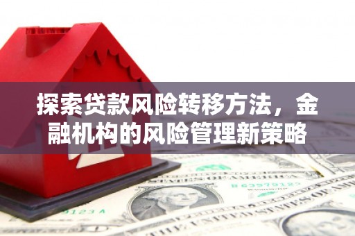 玛曲探索贷款风险转移方法，金融机构的风险管理新策略