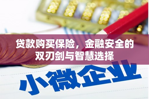 白山贷款购买保险，金融安全的双刃剑与智慧选择