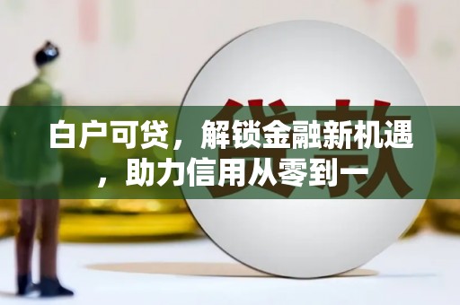 大甲白户可贷，解锁金融新机遇，助力信用从零到一