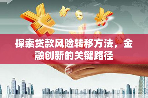 巴青探索贷款风险转移方法，金融创新的关键路径