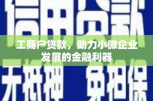 王益工商户贷款，助力小微企业发展的金融利器
