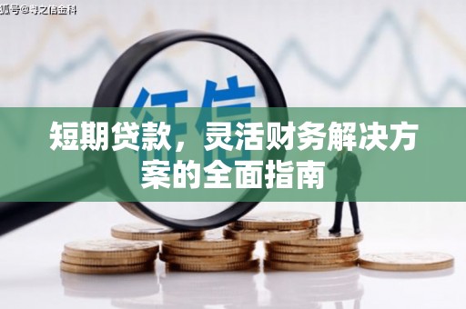 安定短期贷款，灵活财务解决方案的全面指南