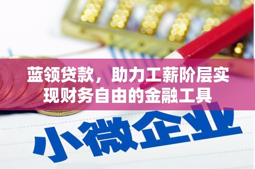 阜沙蓝领贷款，助力工薪阶层实现财务自由的金融工具