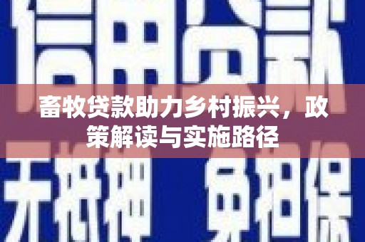 沈河畜牧贷款助力乡村振兴，政策解读与实施路径