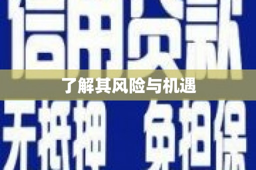 启东了解其风险与机遇