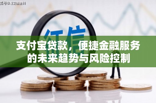 洋县支付宝贷款，便捷金融服务的未来趋势与风险控制