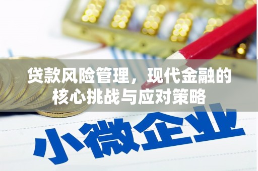 新园贷款风险管理，现代金融的核心挑战与应对策略