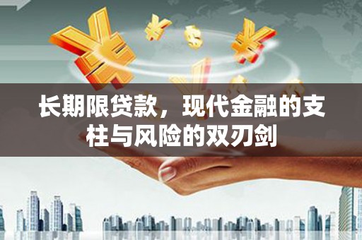 台西长期限贷款，现代金融的支柱与风险的双刃剑
