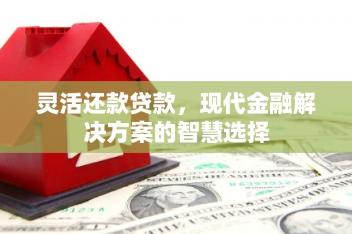 龙川灵活还款贷款，现代金融解决方案的智慧选择