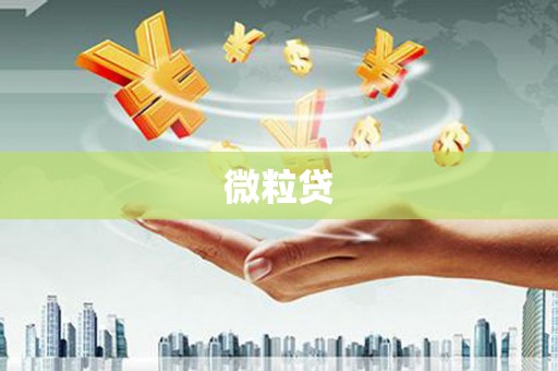 临海微粒贷