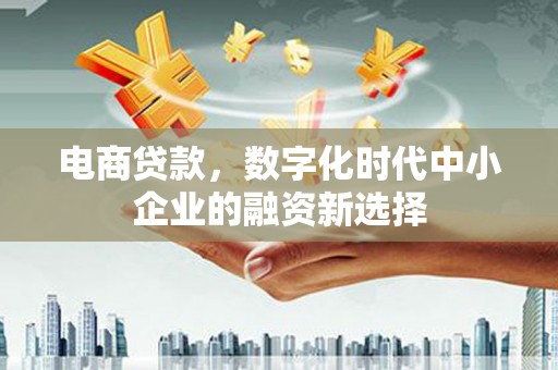 大林电商贷款，数字化时代中小企业的融资新选择
