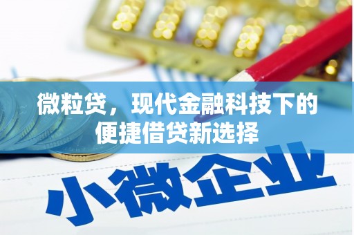 柳南微粒贷，现代金融科技下的便捷借贷新选择