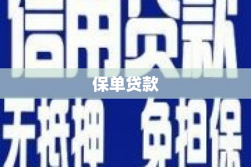 新和保单贷款