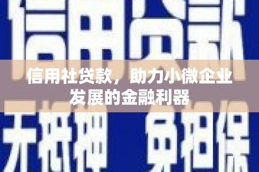 安乡信用社贷款，助力小微企业发展的金融利器