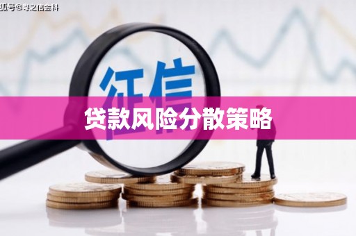 大邑贷款风险分散策略