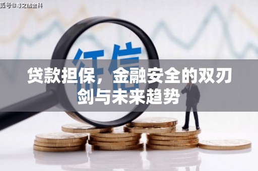 绥滨贷款担保，金融安全的双刃剑与未来趋势