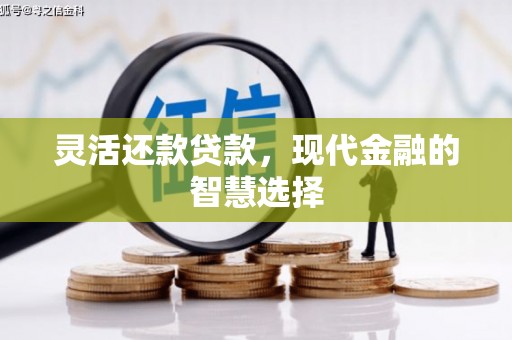 务川灵活还款贷款，现代金融的智慧选择