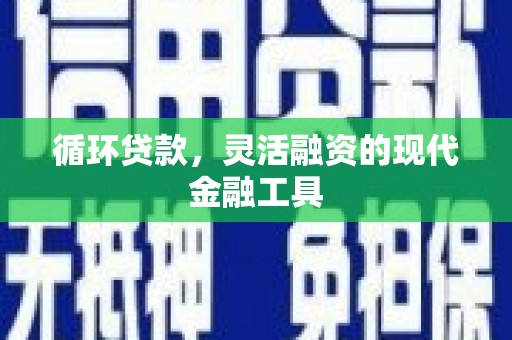 维西循环贷款，灵活融资的现代金融工具