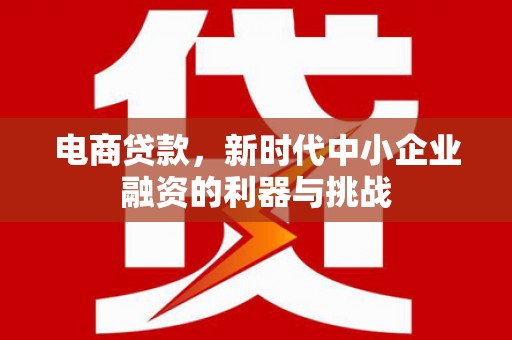 七星电商贷款，新时代中小企业融资的利器与挑战