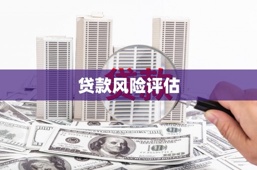沙坡头贷款风险评估