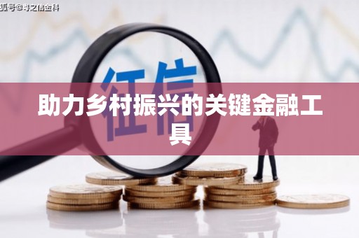 西和助力乡村振兴的关键金融工具