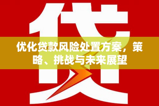 来宾优化贷款风险处置方案，策略、挑战与未来展望