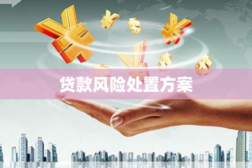 普陀贷款风险处置方案