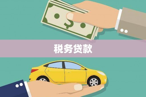 沙田税务贷款