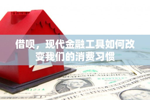 德清借呗，现代金融工具如何改变我们的消费习惯