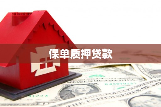 禹城保单质押贷款