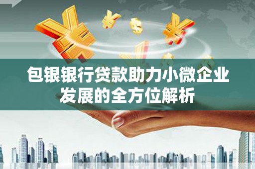 龙崎包银银行贷款助力小微企业发展的全方位解析