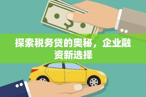 新界探索税务贷的奥秘，企业融资新选择
