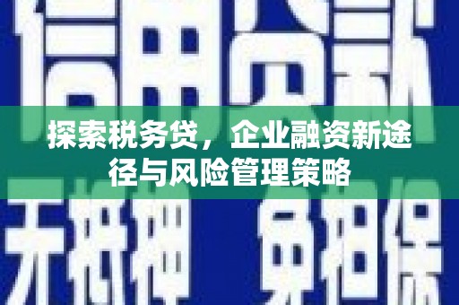 吐鲁番探索税务贷，企业融资新途径与风险管理策略