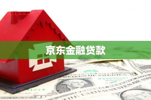 新抚京东金融贷款