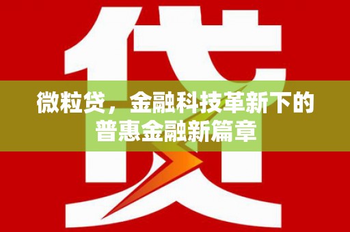 五家渠微粒贷，金融科技革新下的普惠金融新篇章