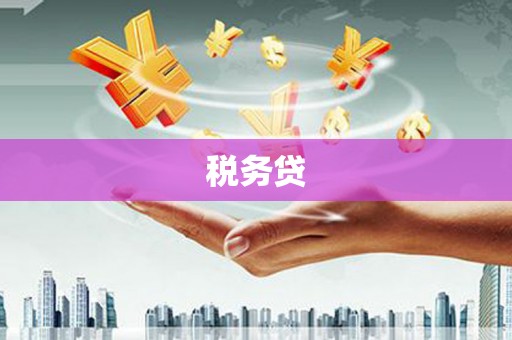 阜平税务贷