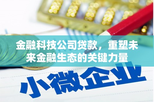 天元金融科技公司贷款，重塑未来金融生态的关键力量