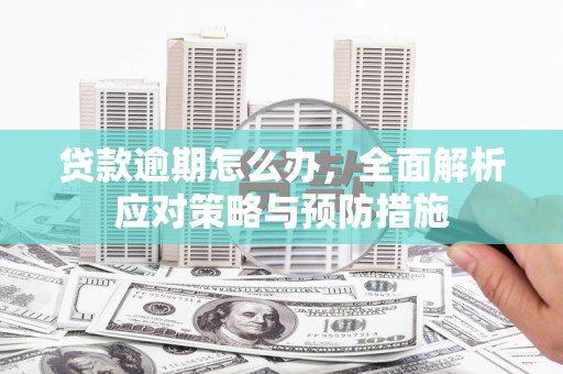 合水贷款逾期怎么办，全面解析应对策略与预防措施